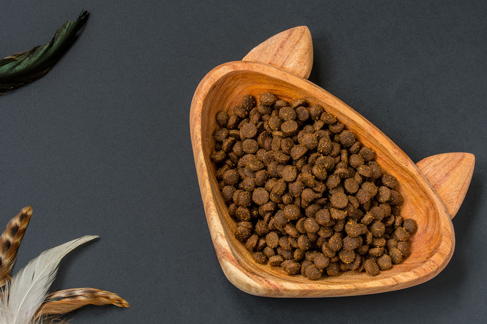 A Guide to Buying Healthy Cat Treats