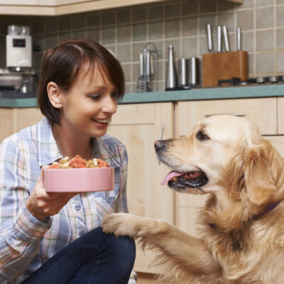 Food Allergies in Pets &#8211; Signs and Causes