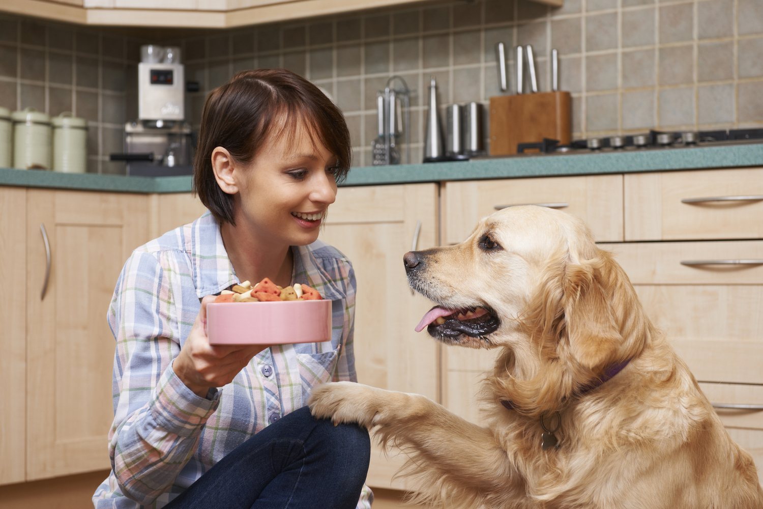 Food Allergies in Pets – Signs and Causes