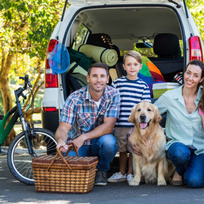 Road Trip Tips with Pets