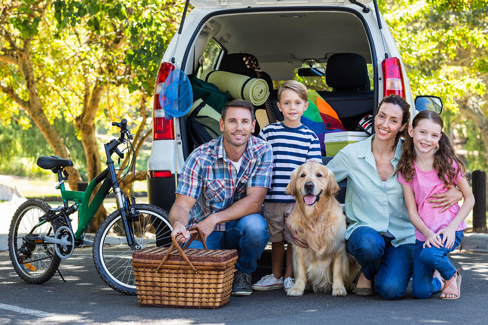 Road Trip Tips with Pets