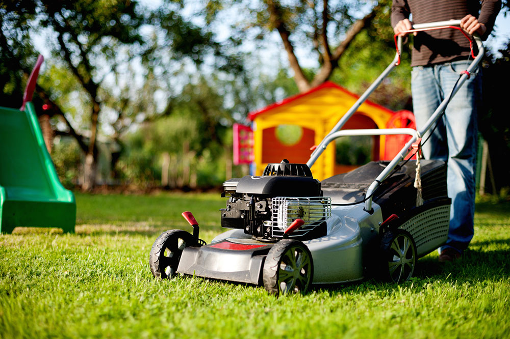 Tips for Choosing an Eco-Friendly Mower