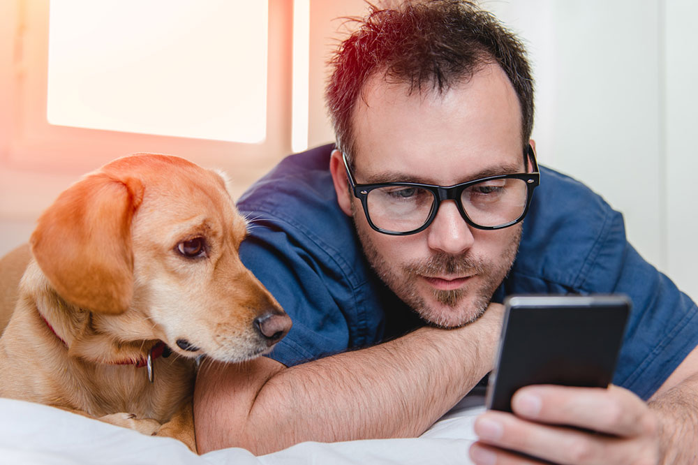 Tips to Choose a Hotel when Traveling with Your Pet