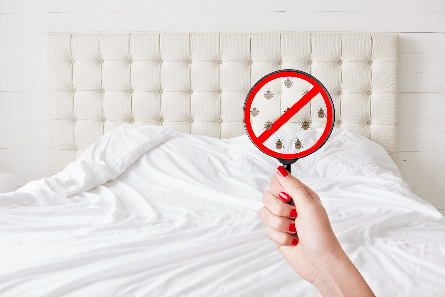 Top 5 Traditional Hot Spots for Respiratory Illnesses
