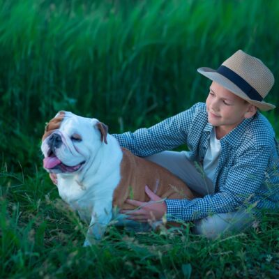 5 Ticks Hotspots to Avoid With Your Dog